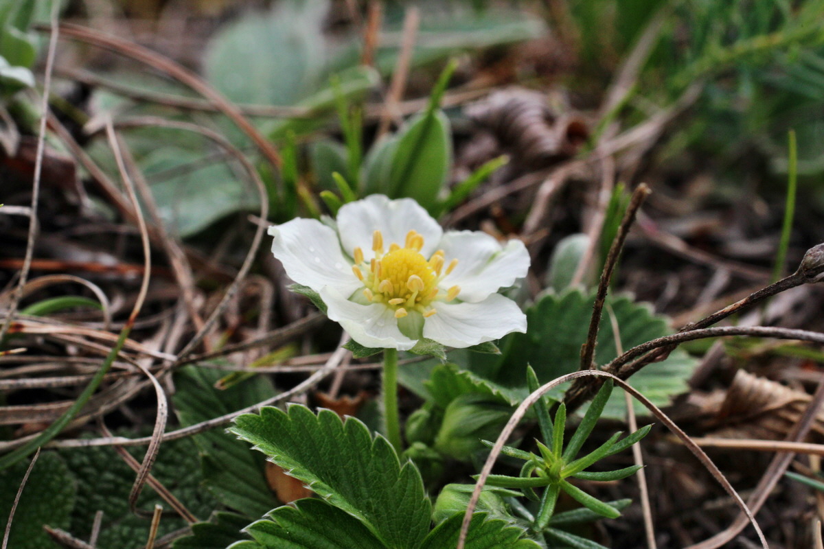 2014_04_08_00039821p_Bildgr��e �ndern