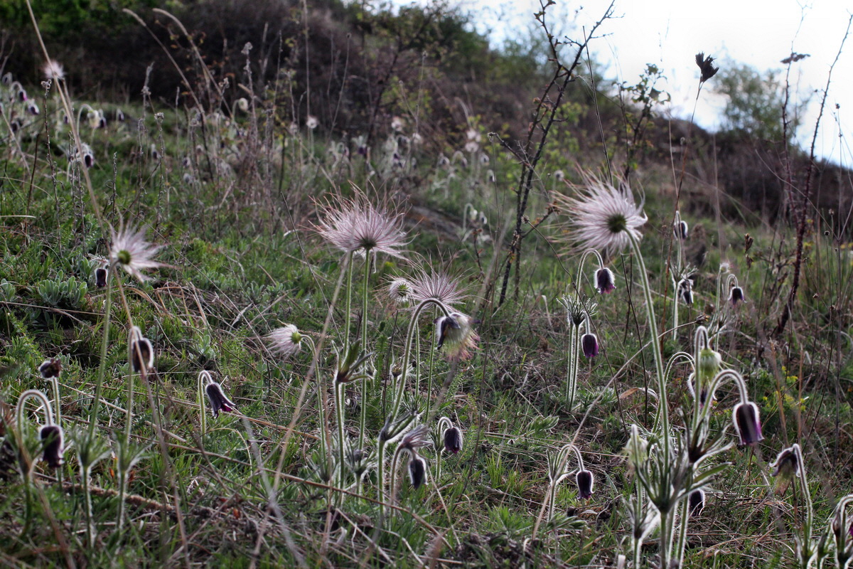 2014_04_08_00039830p_Bildgr��e �ndern