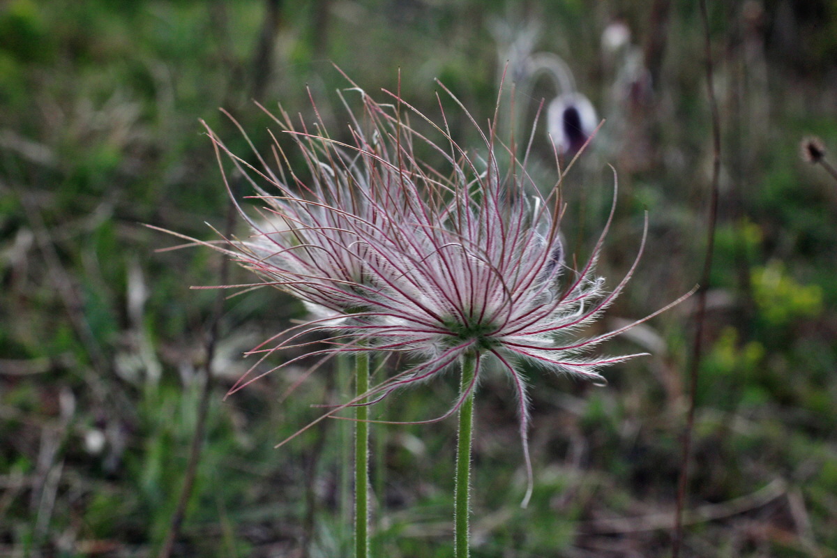 2014_04_08_00039840p_Bildgr��e �ndern