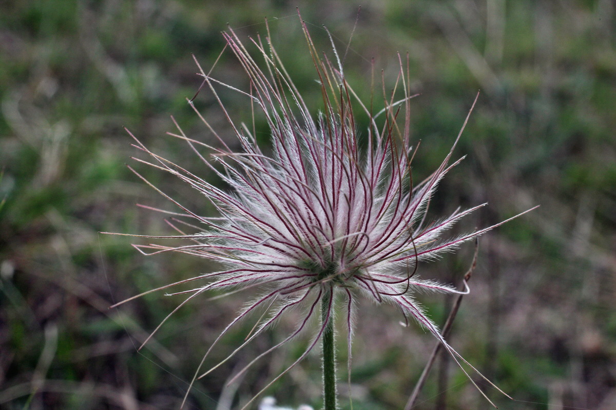 2014_04_08_00039848p_Bildgr��e �ndern