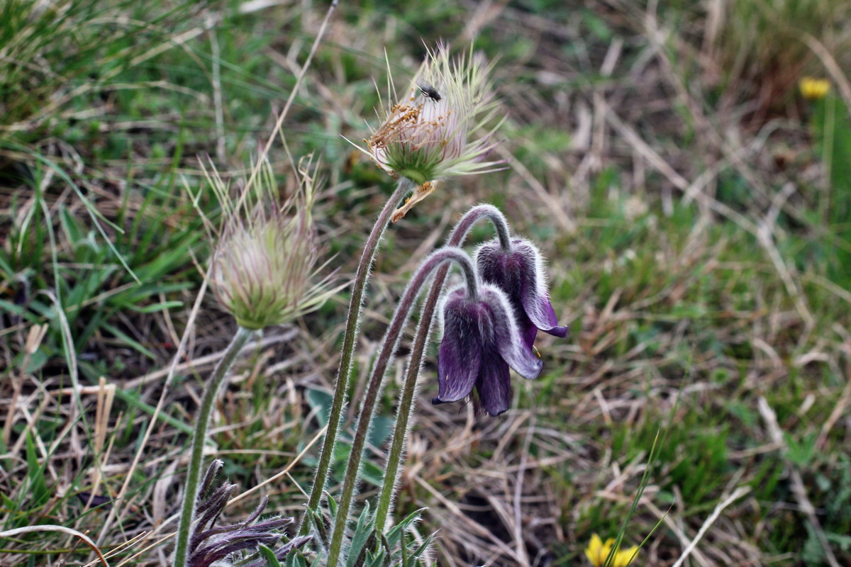 2014_04_08_00039849p_Bildgr��e �ndern