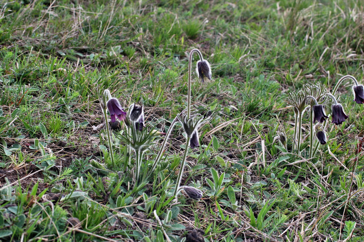 2014_04_08_00039853p_Bildgr��e �ndern