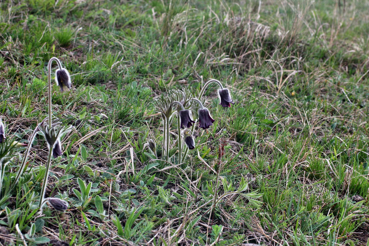 2014_04_08_00039854p_Bildgr��e �ndern