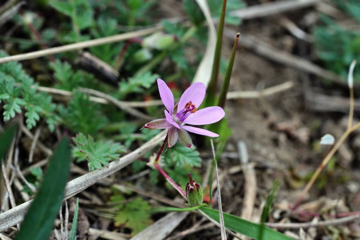 2014_04_08_00039866p_Bildgr��e �ndern