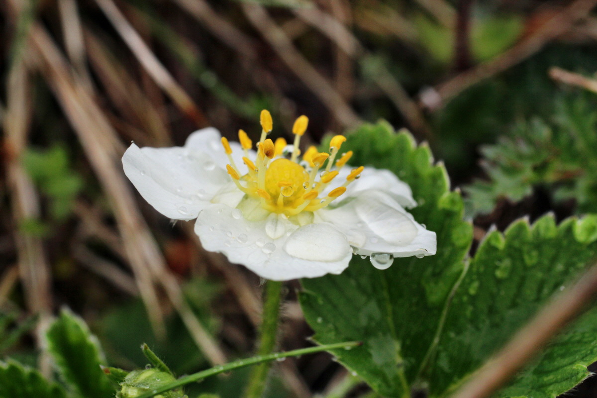 2014_04_08_00039890p_Bildgr��e �ndern