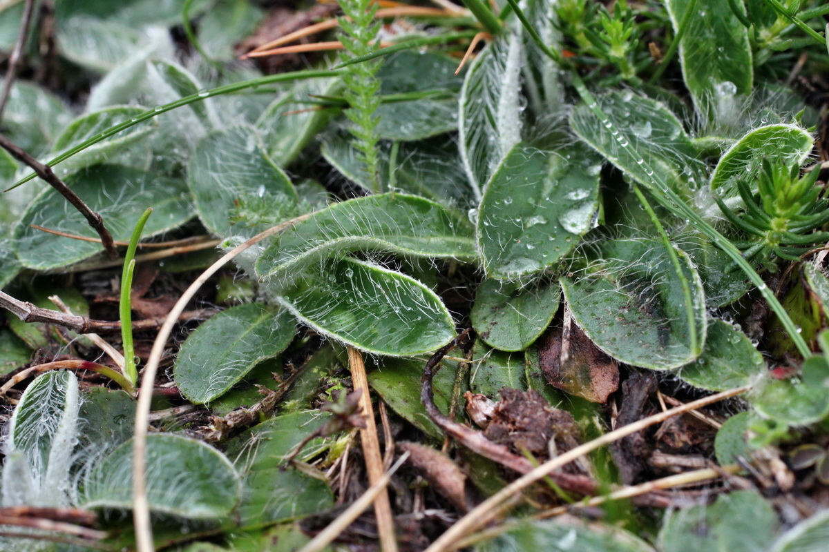 2014_04_08_00039894p_Bildgr��e �ndern