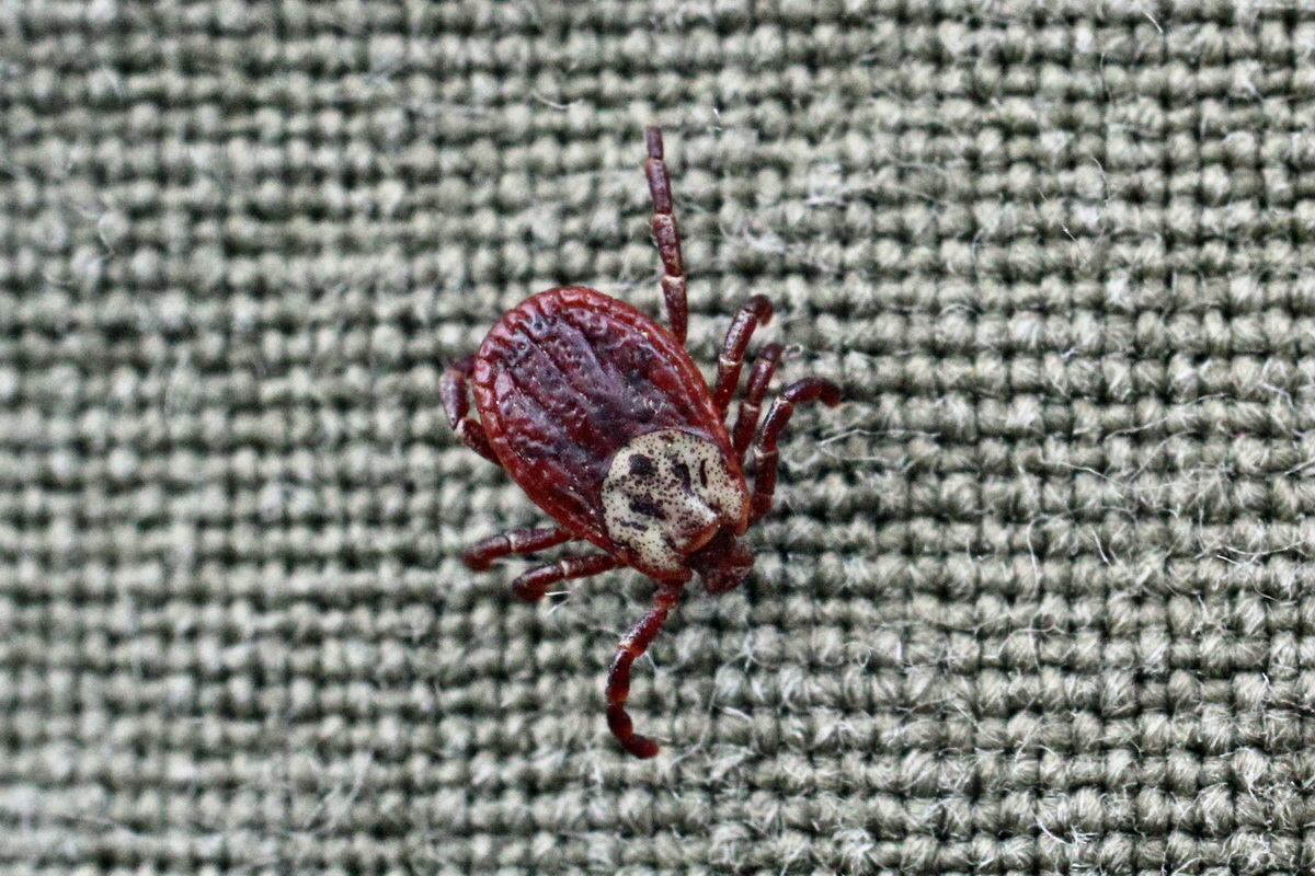 2014_04_08_00039922ap_Bildgr��e �ndern