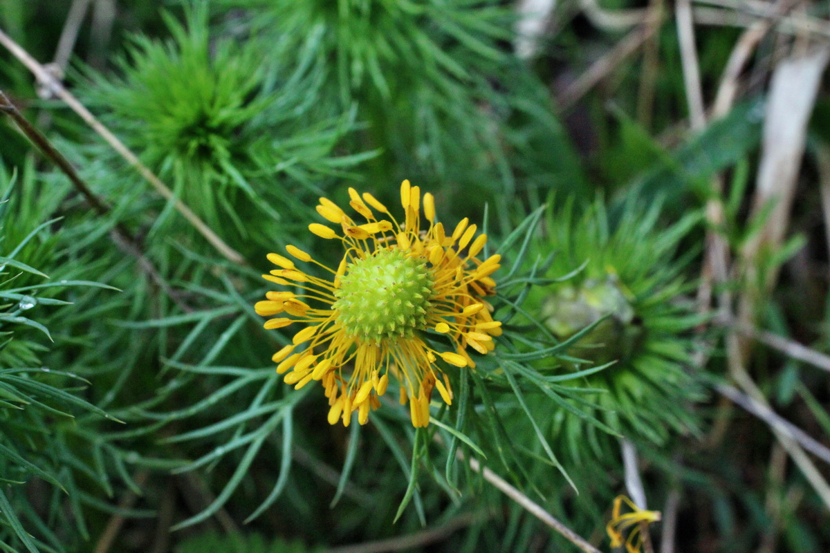 2014_04_08_00039931p_Bildgr��e �ndern