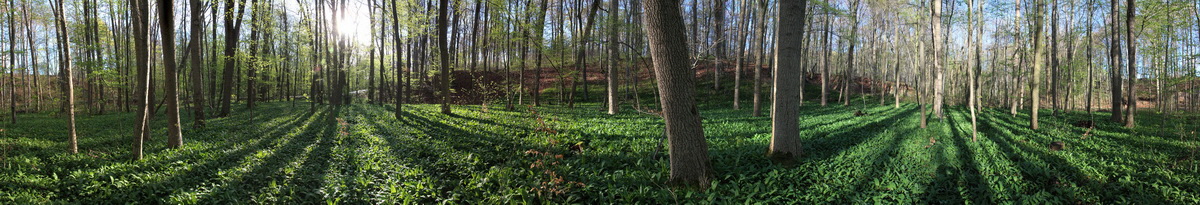 [Group 4]-2014_04_09Bildgr��e �ndern