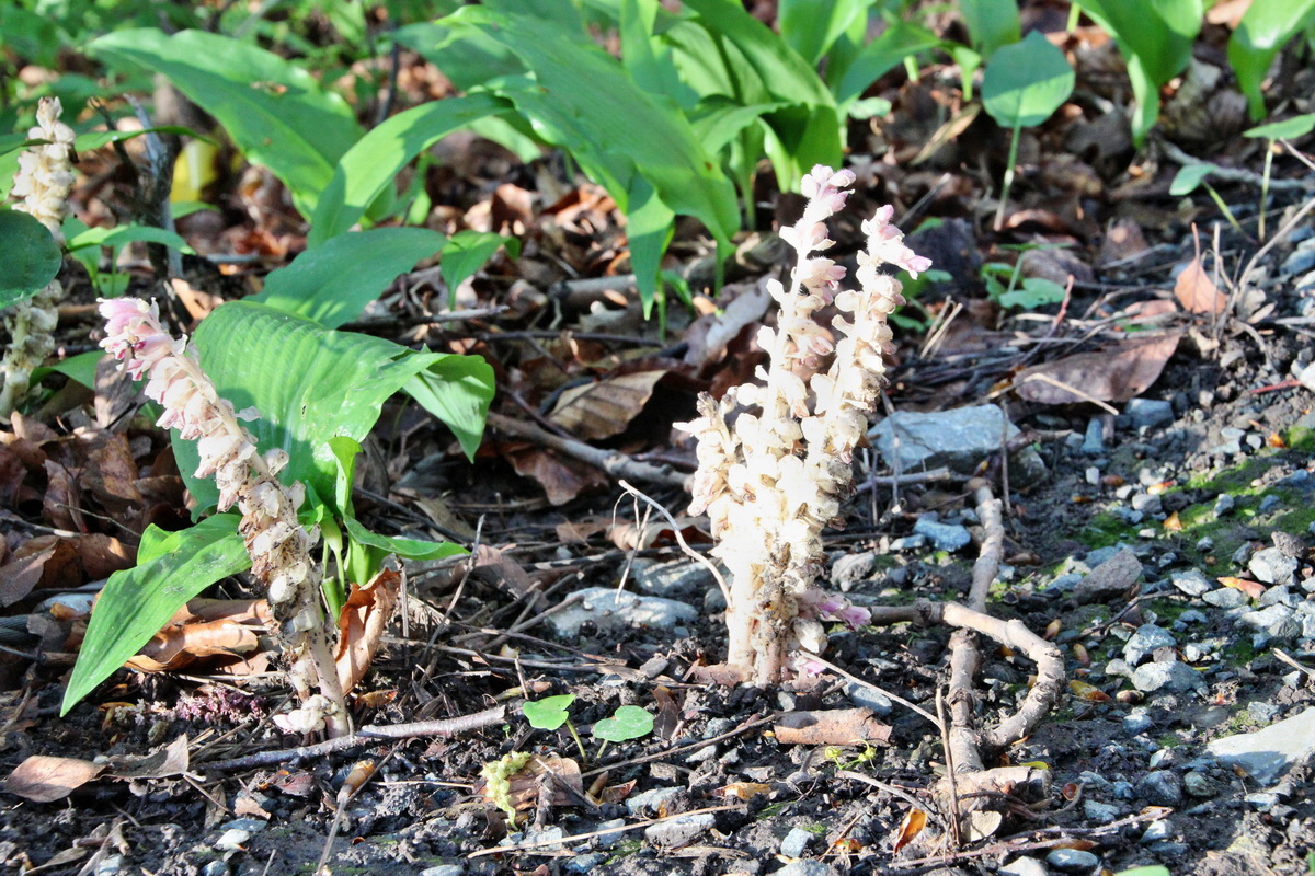 2014_04_09_00039961p_Bildgr��e �ndern