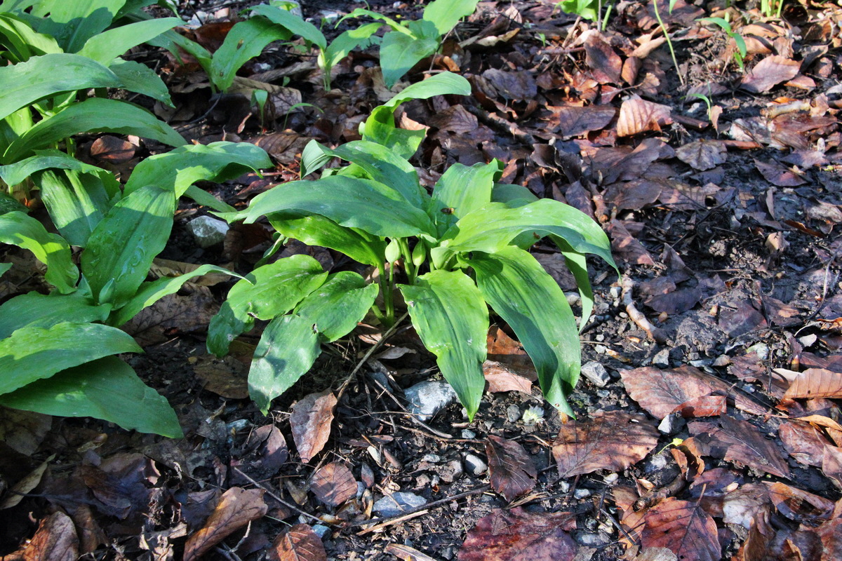 2014_04_09_00039964p_Bildgr��e �ndern