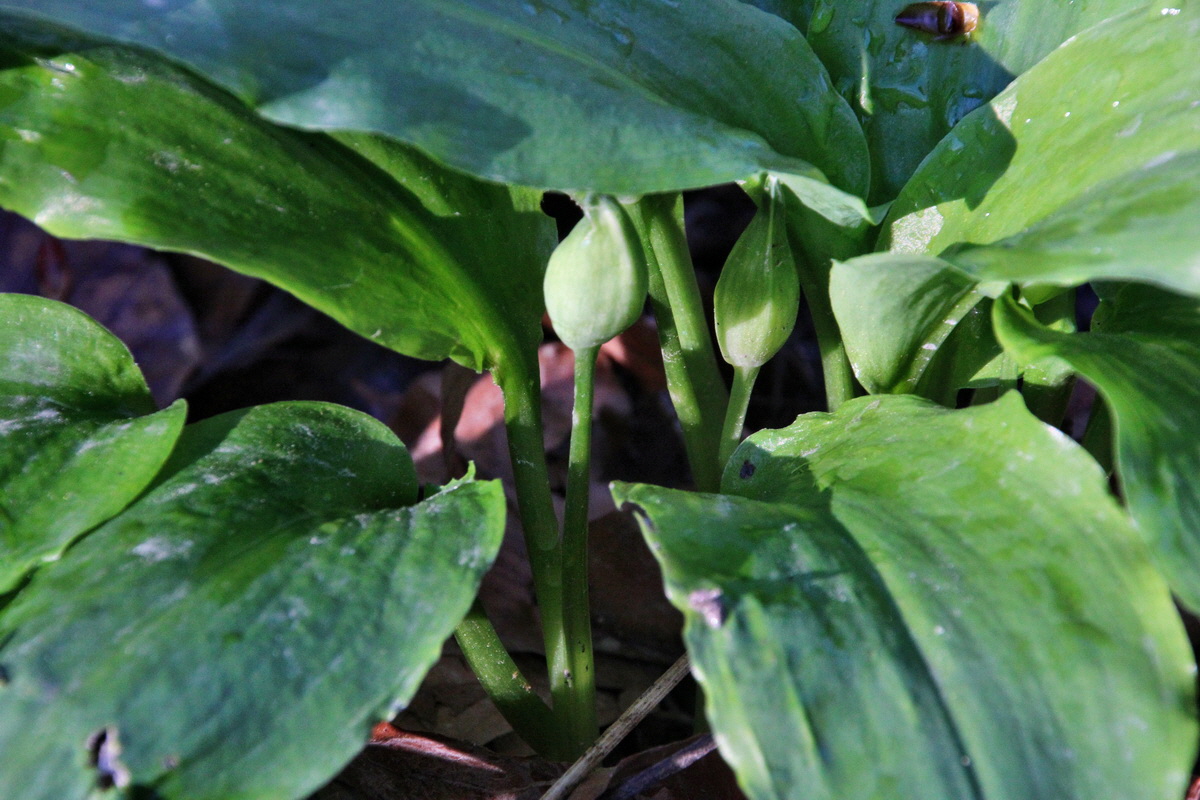 2014_04_09_00039967p_Bildgr��e �ndern