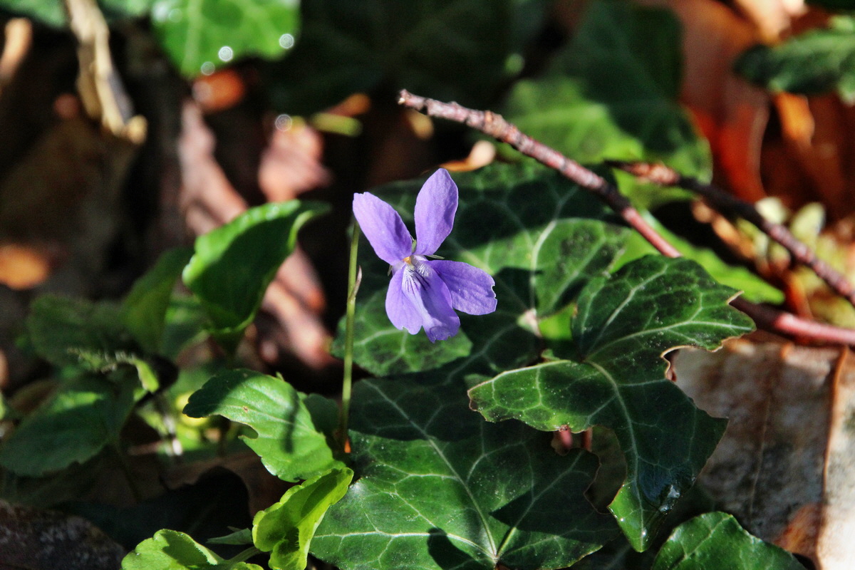 2014_04_09_00039984p_Bildgr��e �ndern