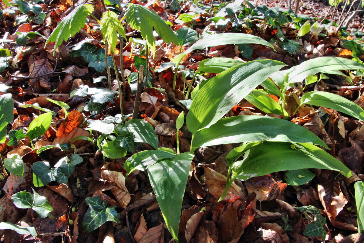 2014_04_09_00039988p_Bildgr��e �ndern