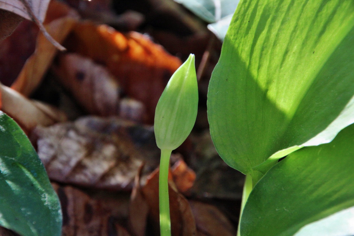 2014_04_09_00039989p_Bildgr��e �ndern