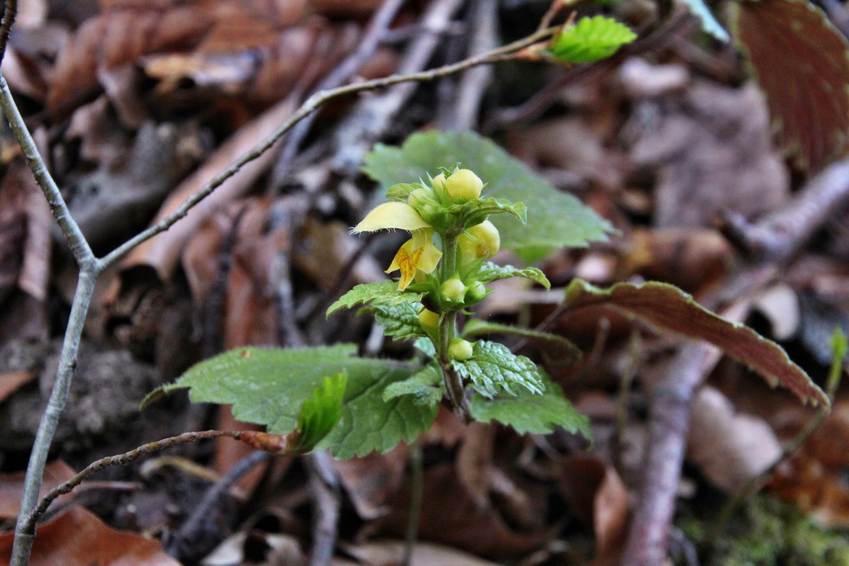 2014_04_09_00039992p_Bildgr��e �ndern