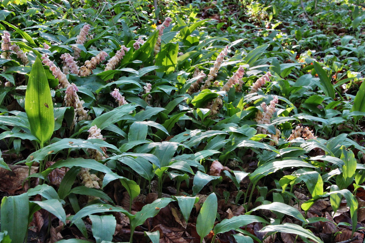 2014_04_09_00039997p_Bildgr��e �ndern