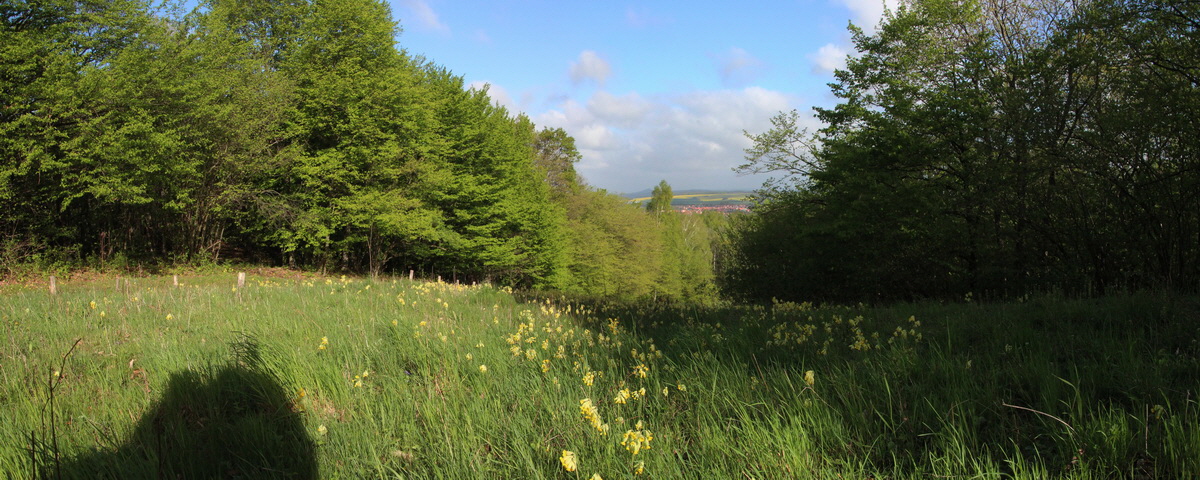 [Group 6]-2014_04_15_00040103_2014_04_15_00040110-2 images_Bildgr��e �ndern