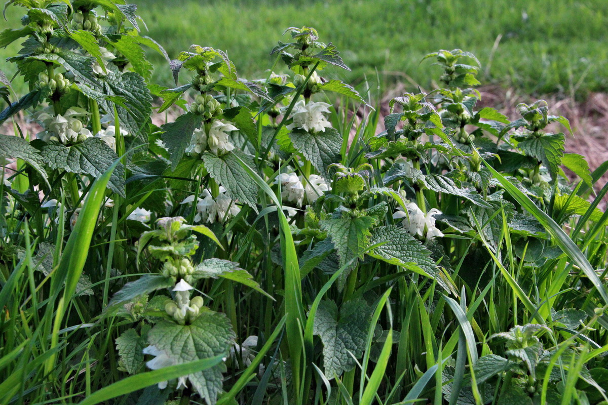 2014_04_15_00040021p_Bildgr��e �ndern