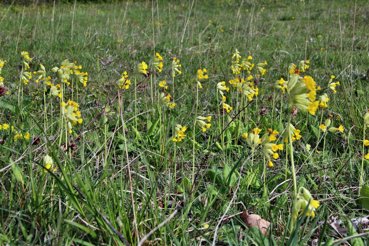 2014_04_15_00040032p_Bildgr��e �ndern