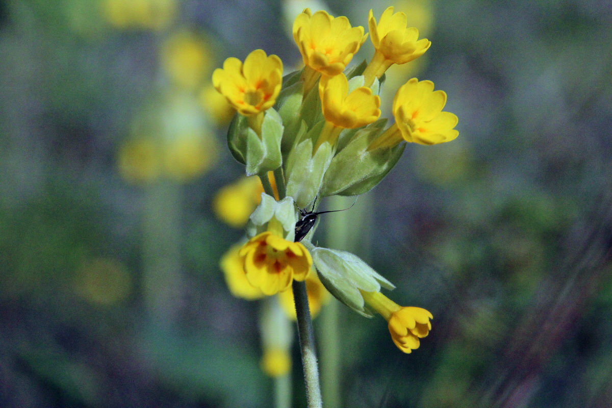 2014_04_15_00040035p_Bildgr��e �ndern