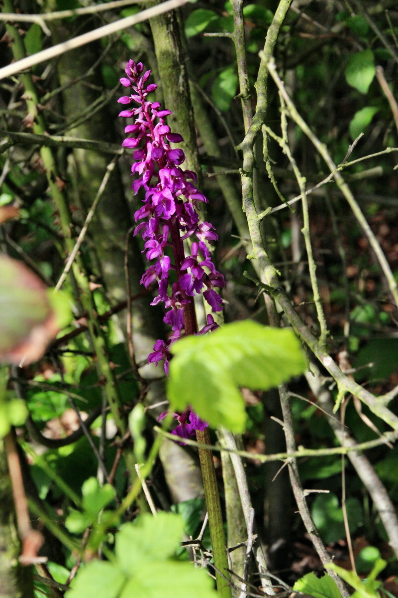 2014_04_15_00040042p_Bildgr��e �ndern