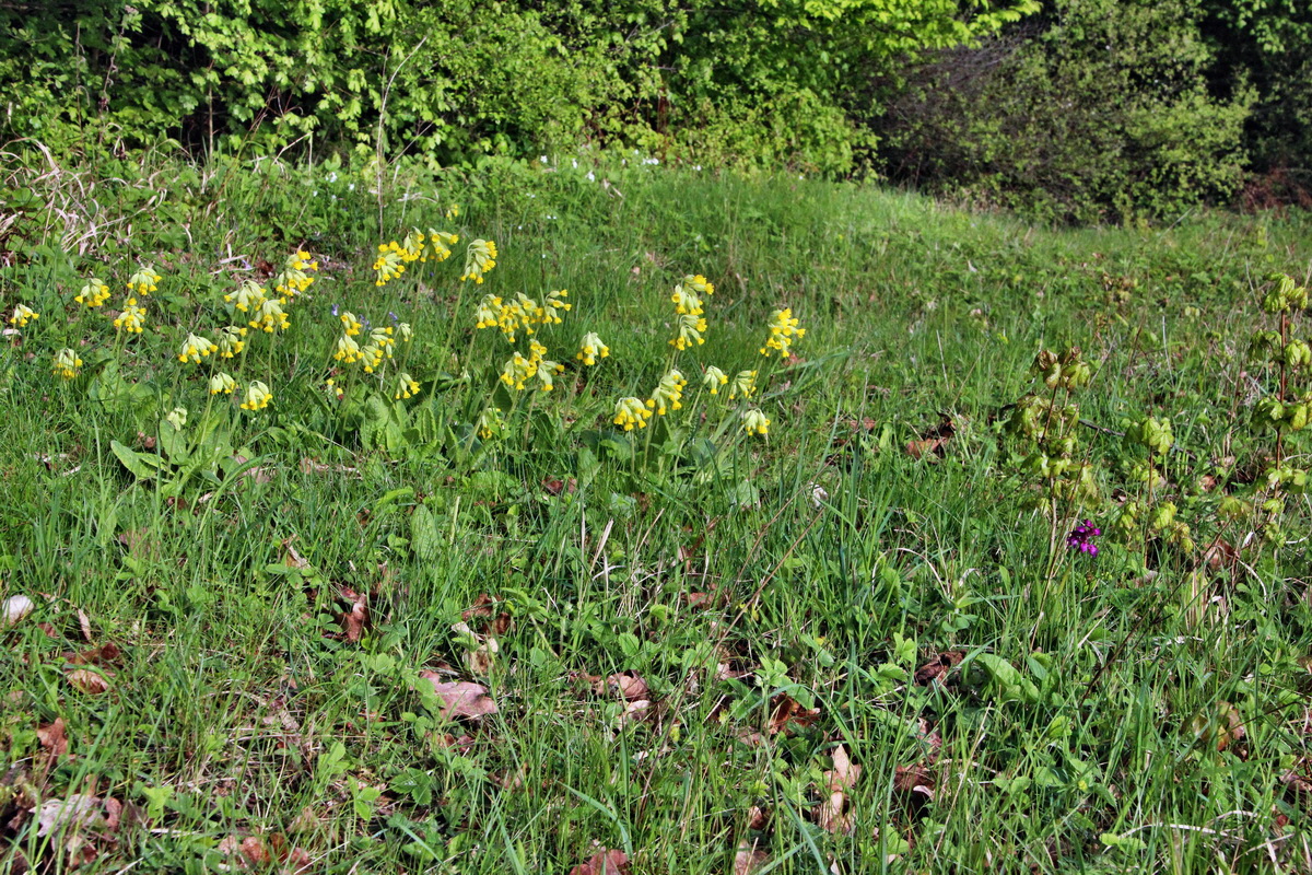 2014_04_15_00040053p_Bildgr��e �ndern