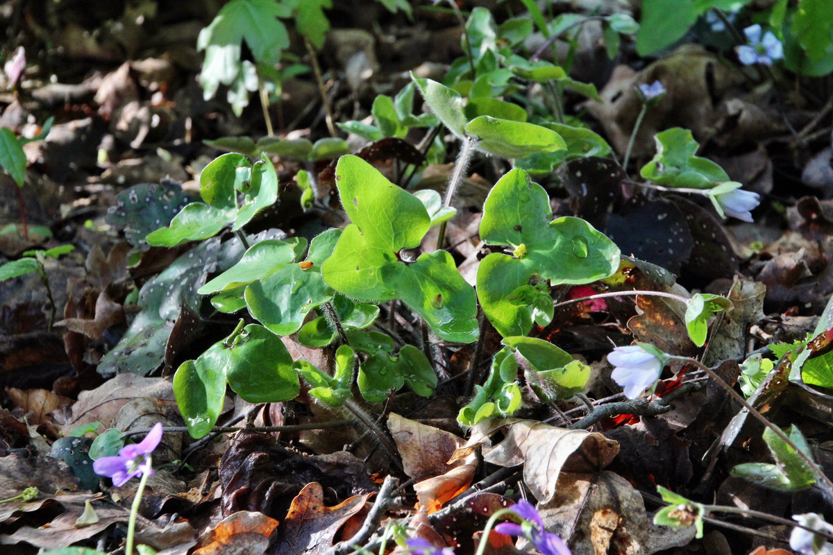 2014_04_15_00040059p_Bildgr��e �ndern