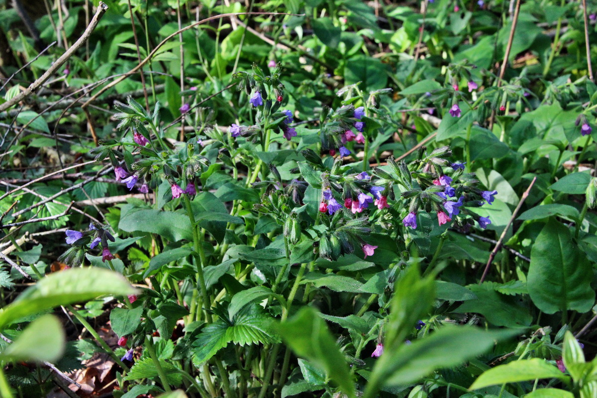 2014_04_15_00040061p_Bildgr��e �ndern