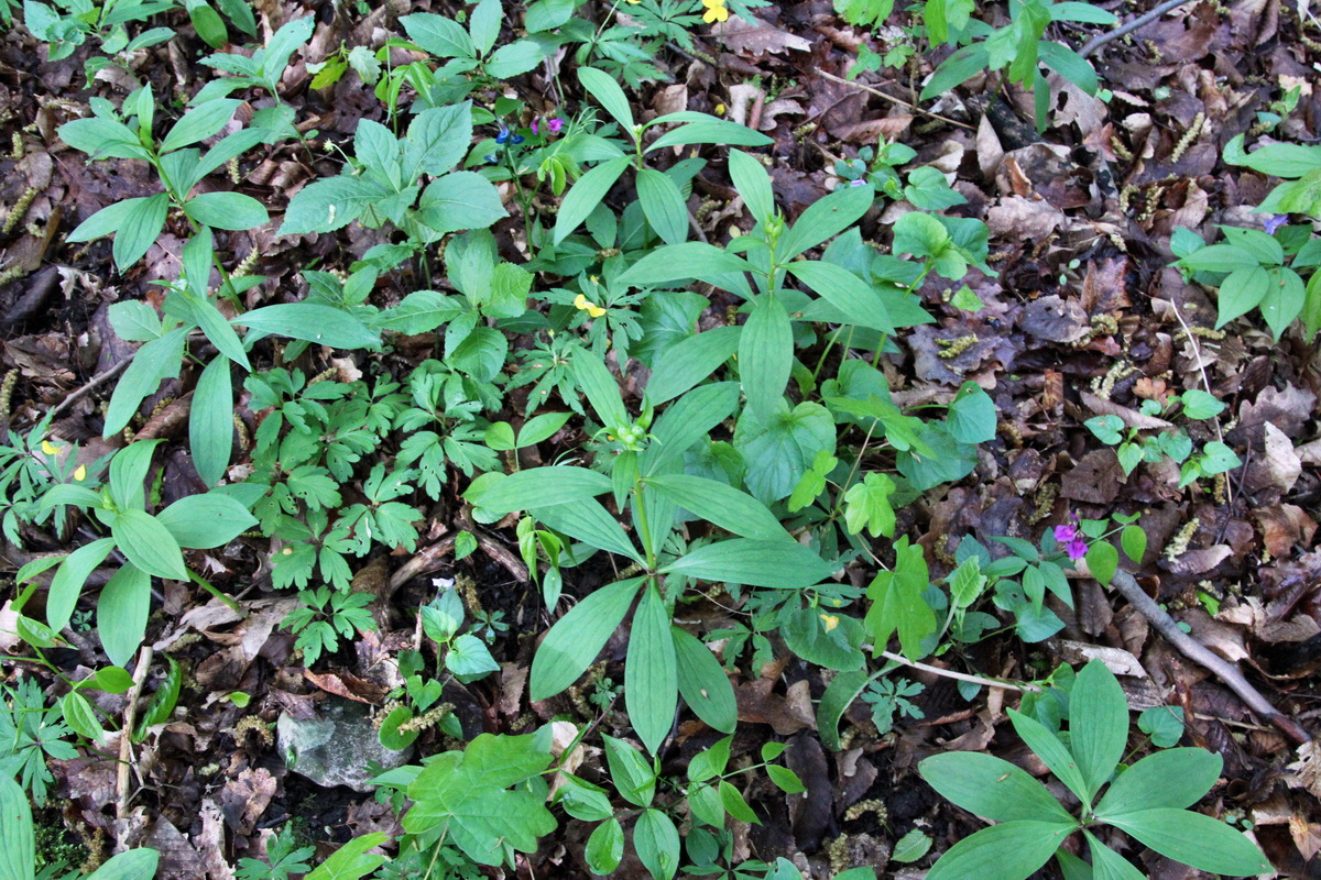 2014_04_15_00040076p_Bildgr��e �ndern