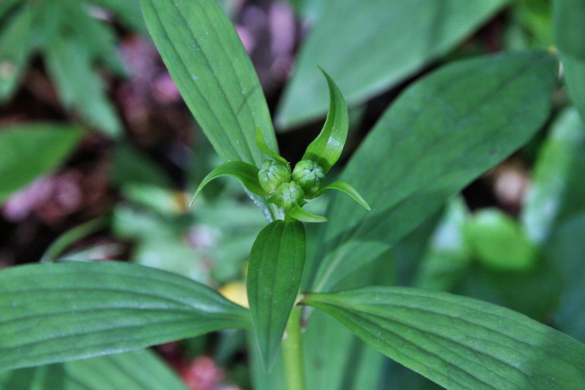 2014_04_15_00040079p_Bildgr��e �ndern