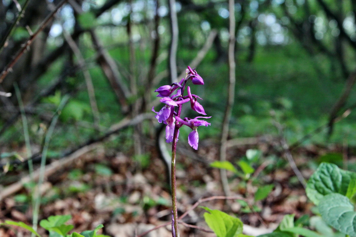 2014_04_15_00040085p_Bildgr��e �ndern