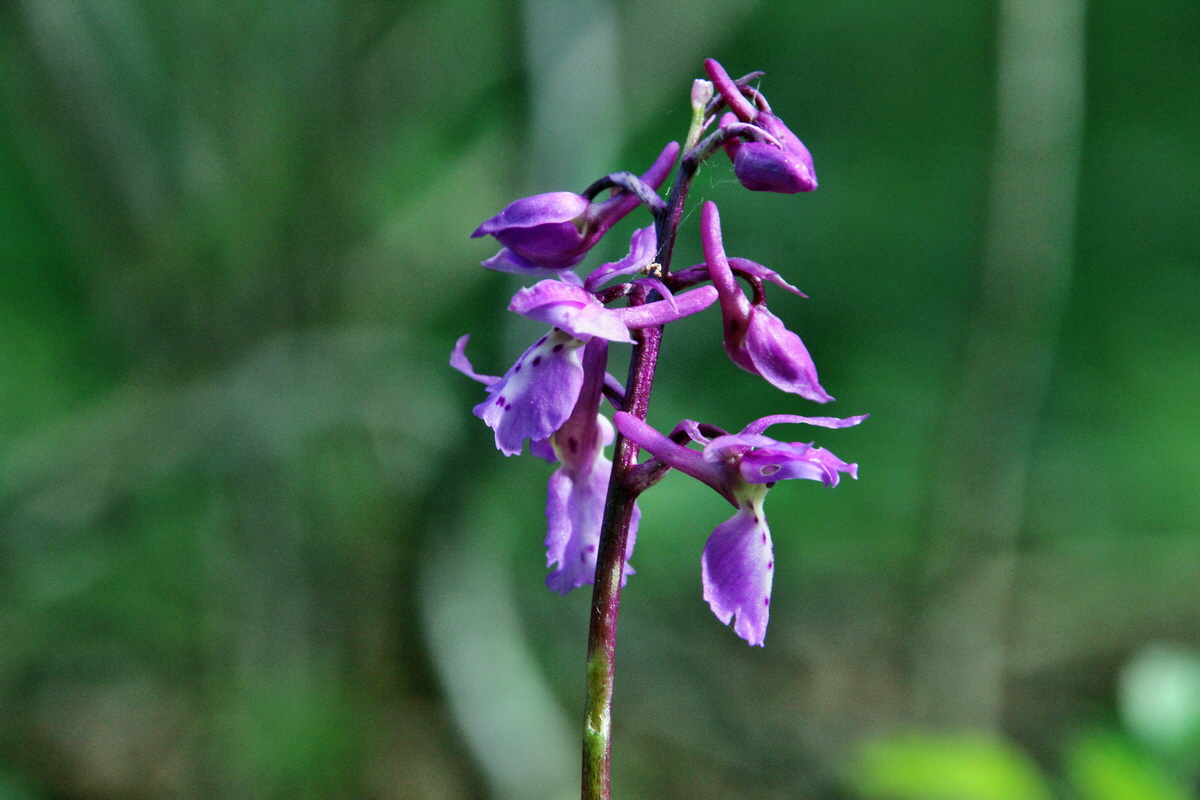 2014_04_15_00040090p_Bildgr��e �ndern