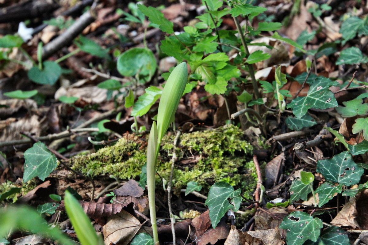 2014_04_15_00040093p_Bildgr��e �ndern