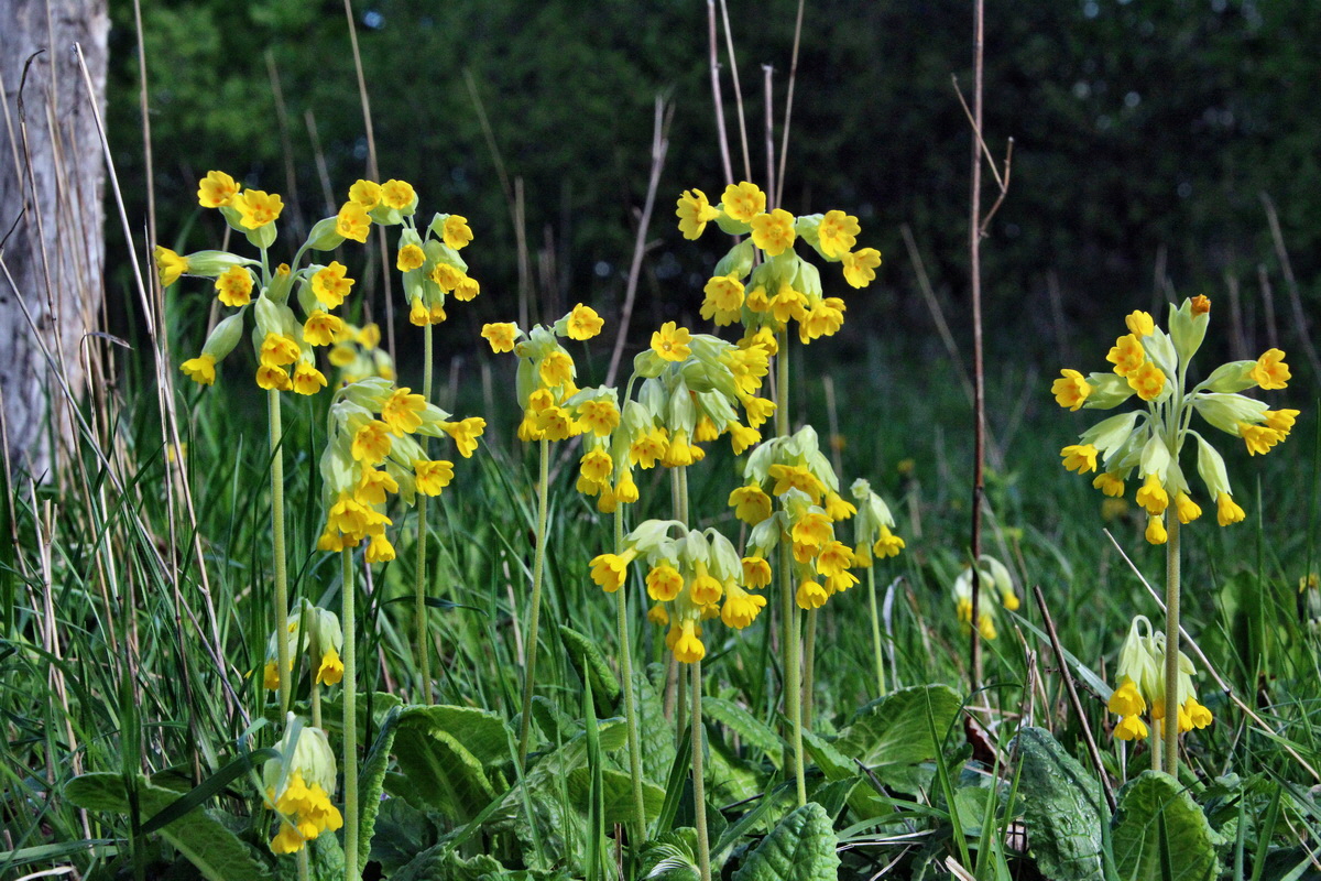 2014_04_15_00040099p_Bildgr��e �ndern