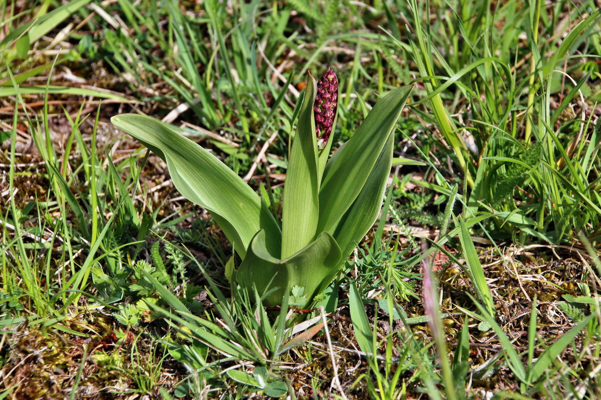 2014_04_15_00040126p_Bildgr��e �ndern