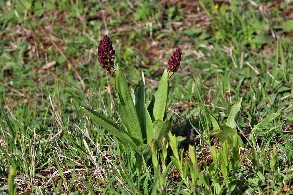 2014_04_15_00040131p_Bildgr��e �ndern