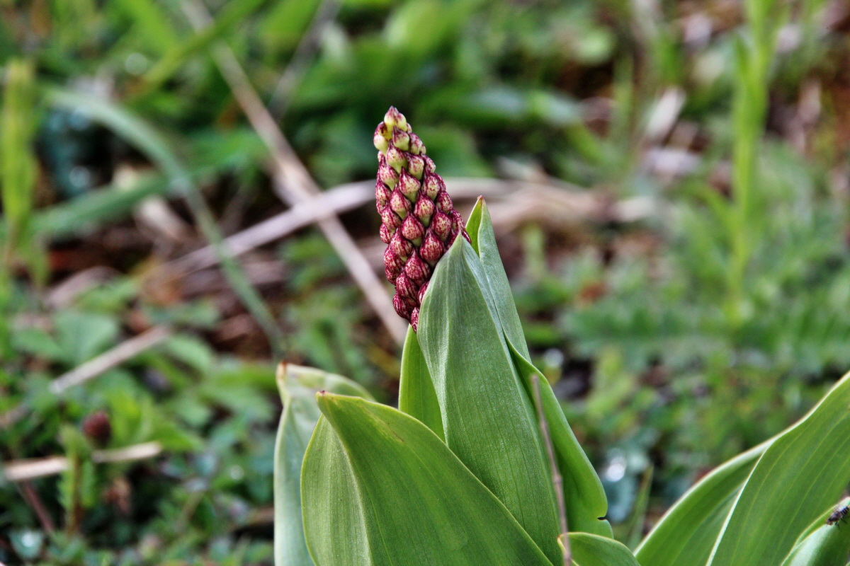 2014_04_15_00040136p_Bildgr��e �ndern