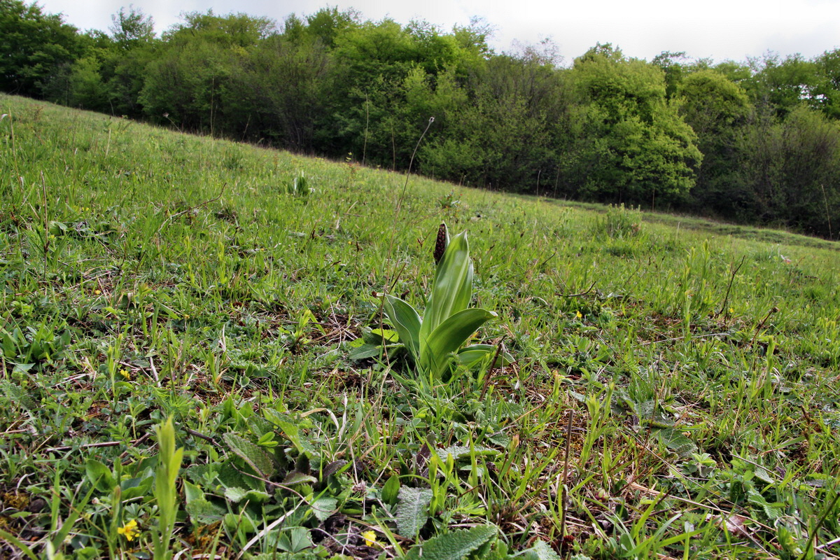 2014_04_15_00040140p_Bildgr��e �ndern