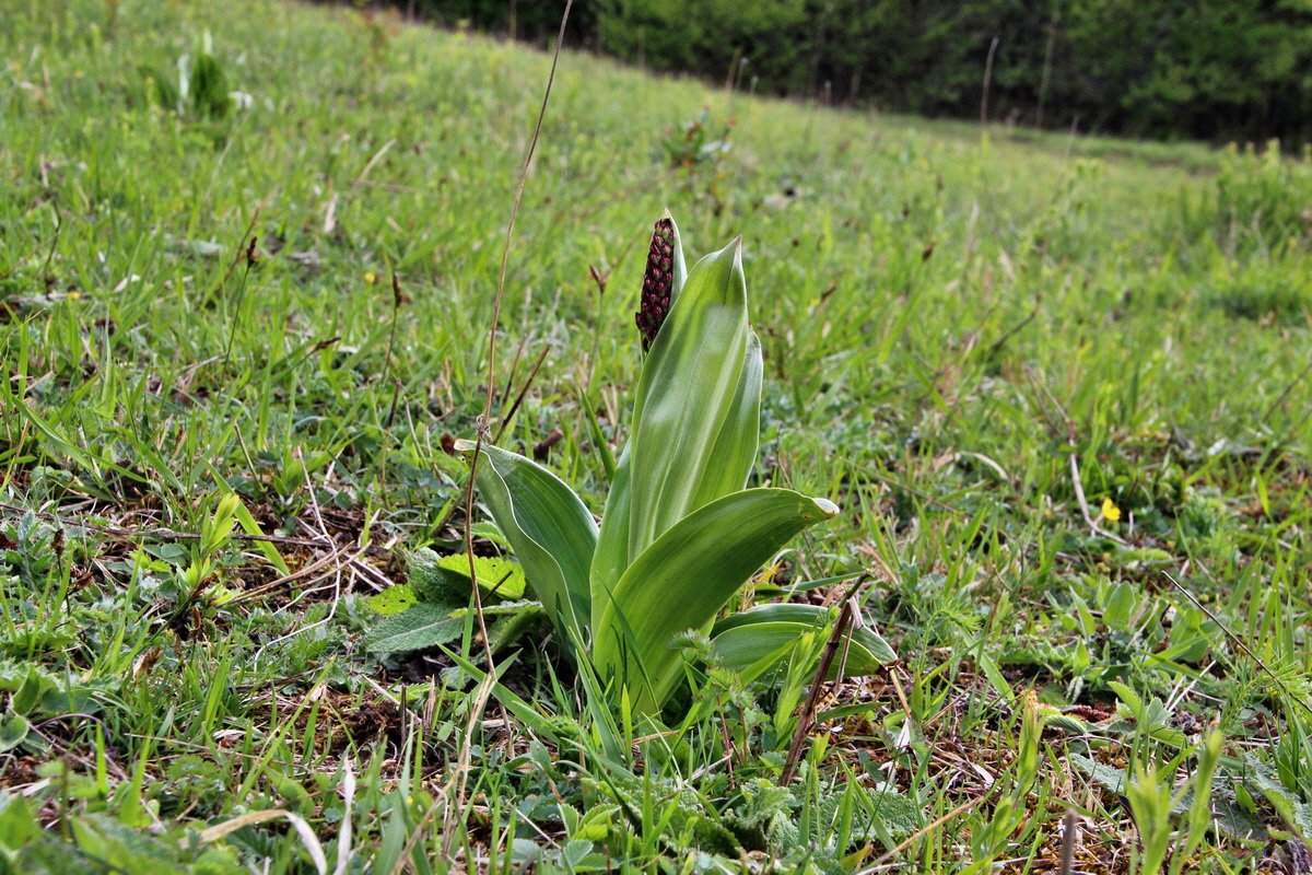 2014_04_15_00040142p_Bildgr��e �ndern