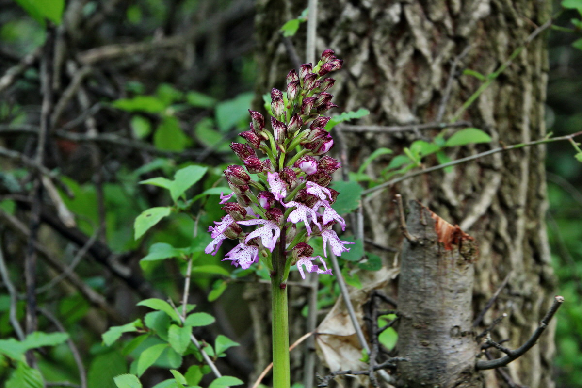 2014_04_15_00040146p_Bildgr��e �ndern