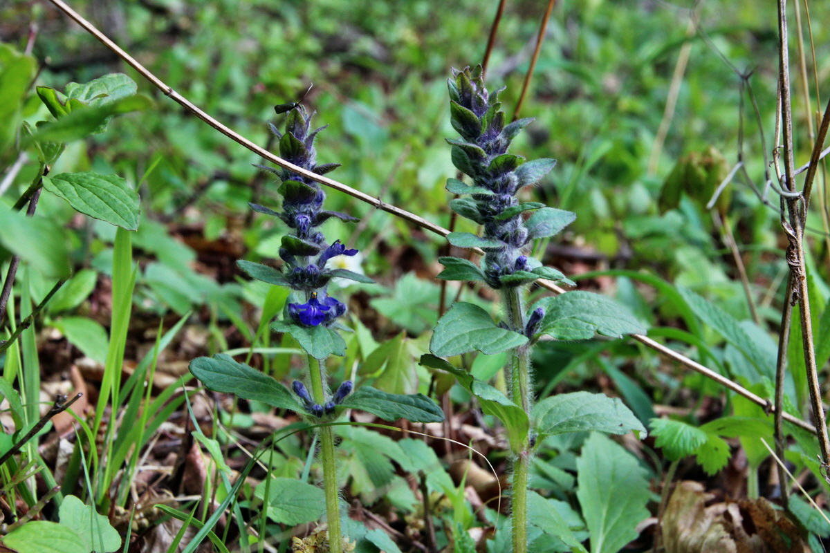 2014_04_15_00040161p_Bildgr��e �ndern