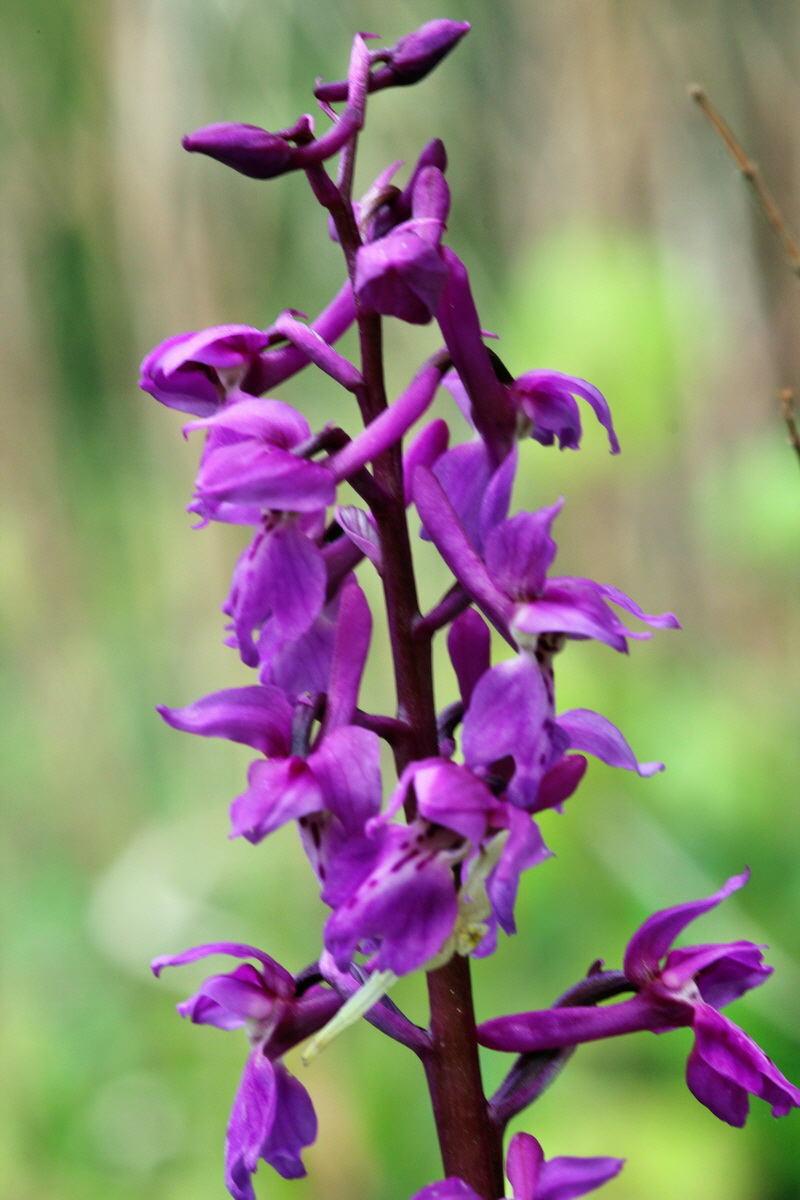 2014_04_15_00040188p_Bildgr��e �ndern