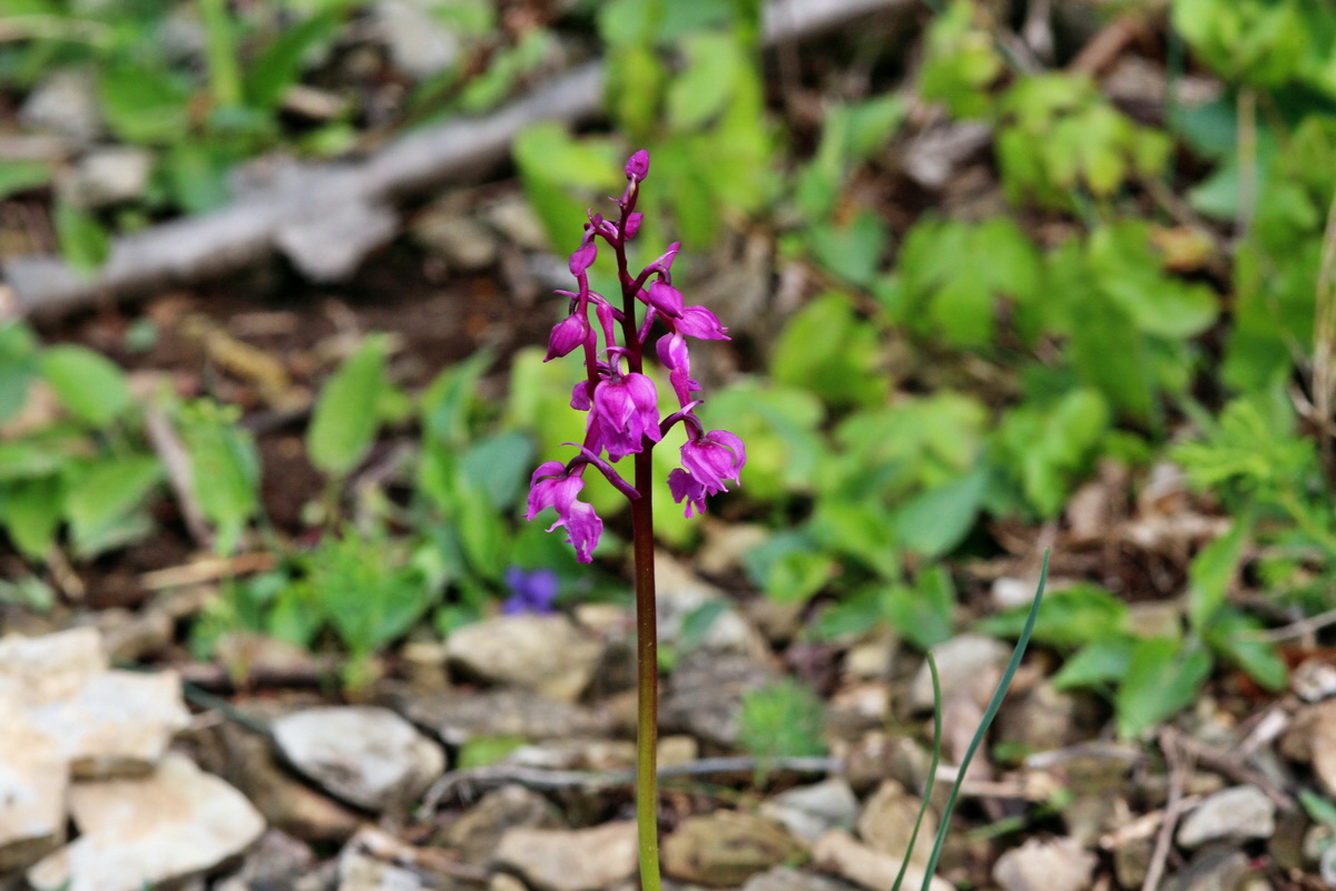 2014_04_15_00040190p_Bildgr��e �ndern