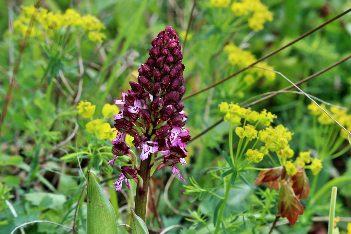 2014_04_15_00040199p_Bildgr��e �ndern