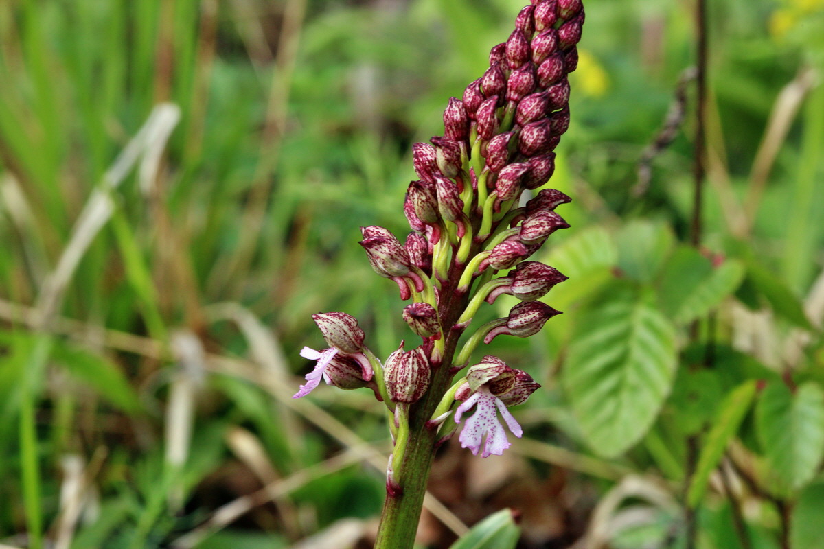 2014_04_15_00040203p_Bildgr��e �ndern