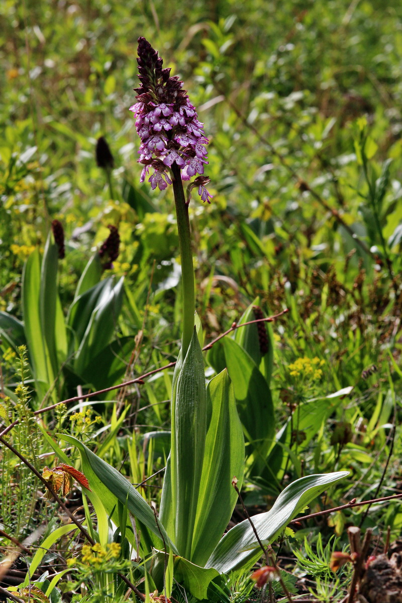 2014_04_15_00040210p_Bildgr��e �ndern