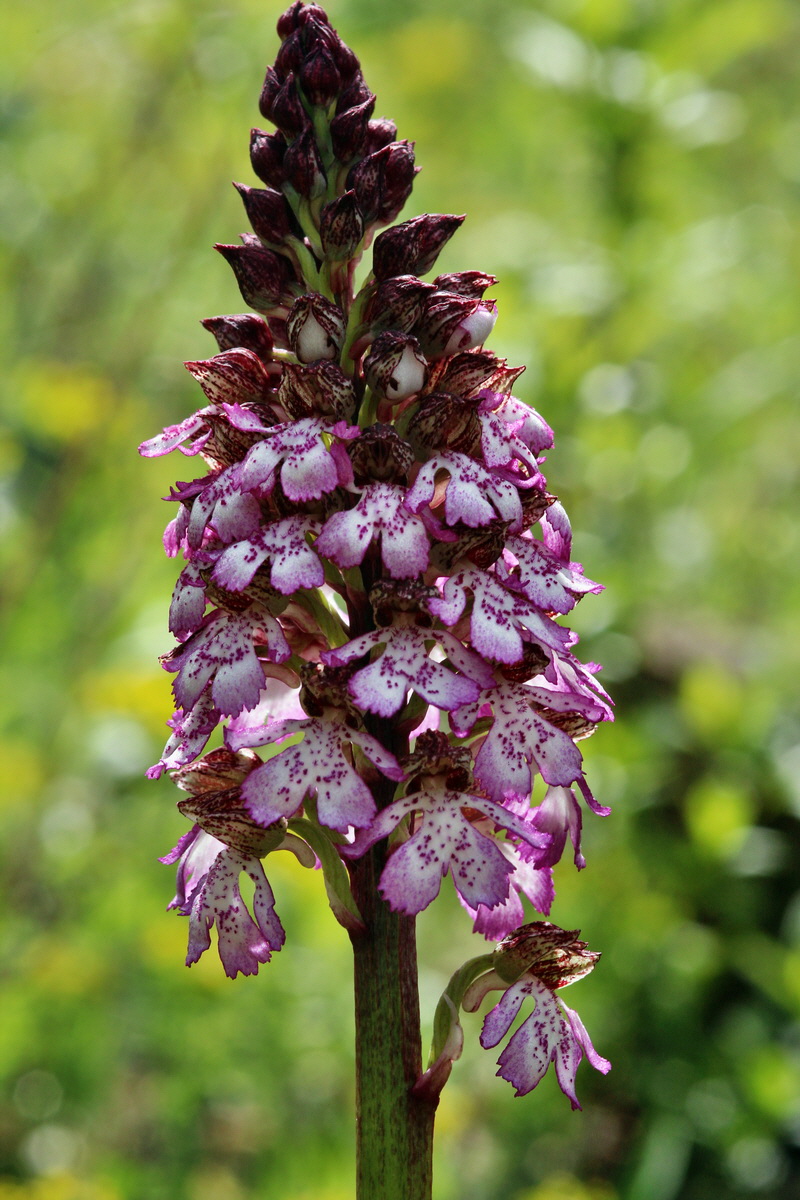 2014_04_15_00040213p_Bildgr��e �ndern