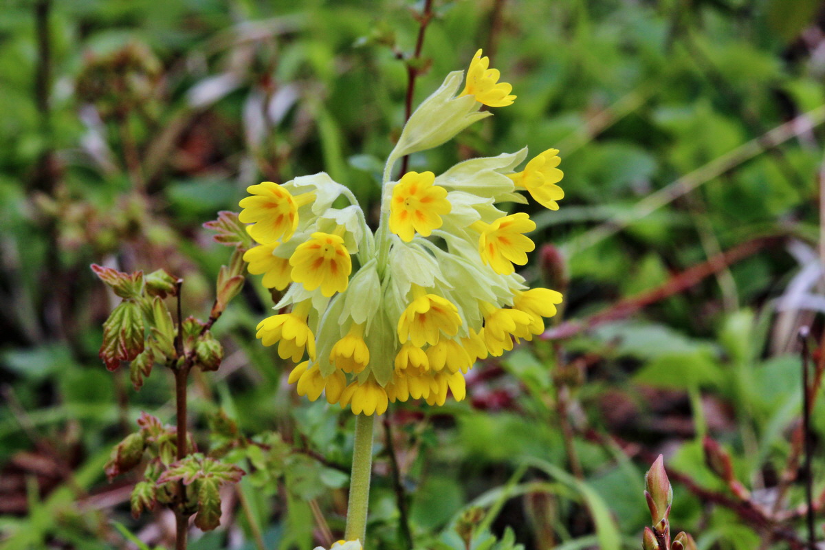 2014_04_15_00040221p_Bildgr��e �ndern