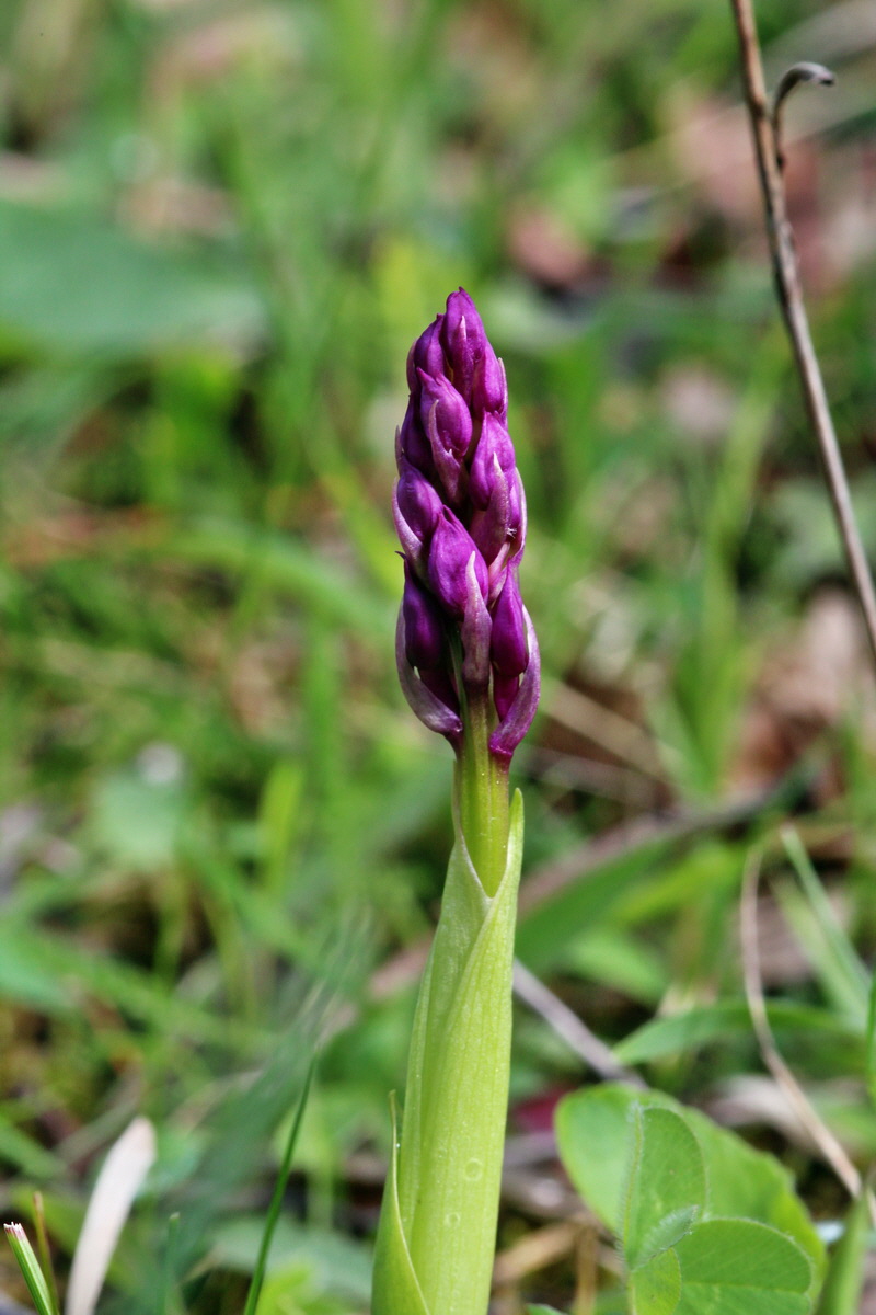 2014_04_15_00040232p_Bildgr��e �ndern